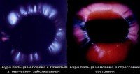 Принцип работы по Активации CRISPR.