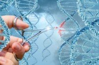 Будущее с CRISPR