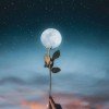 Порча на одиночество.Как избавиться от одиночества. Магия побеждает одиночество